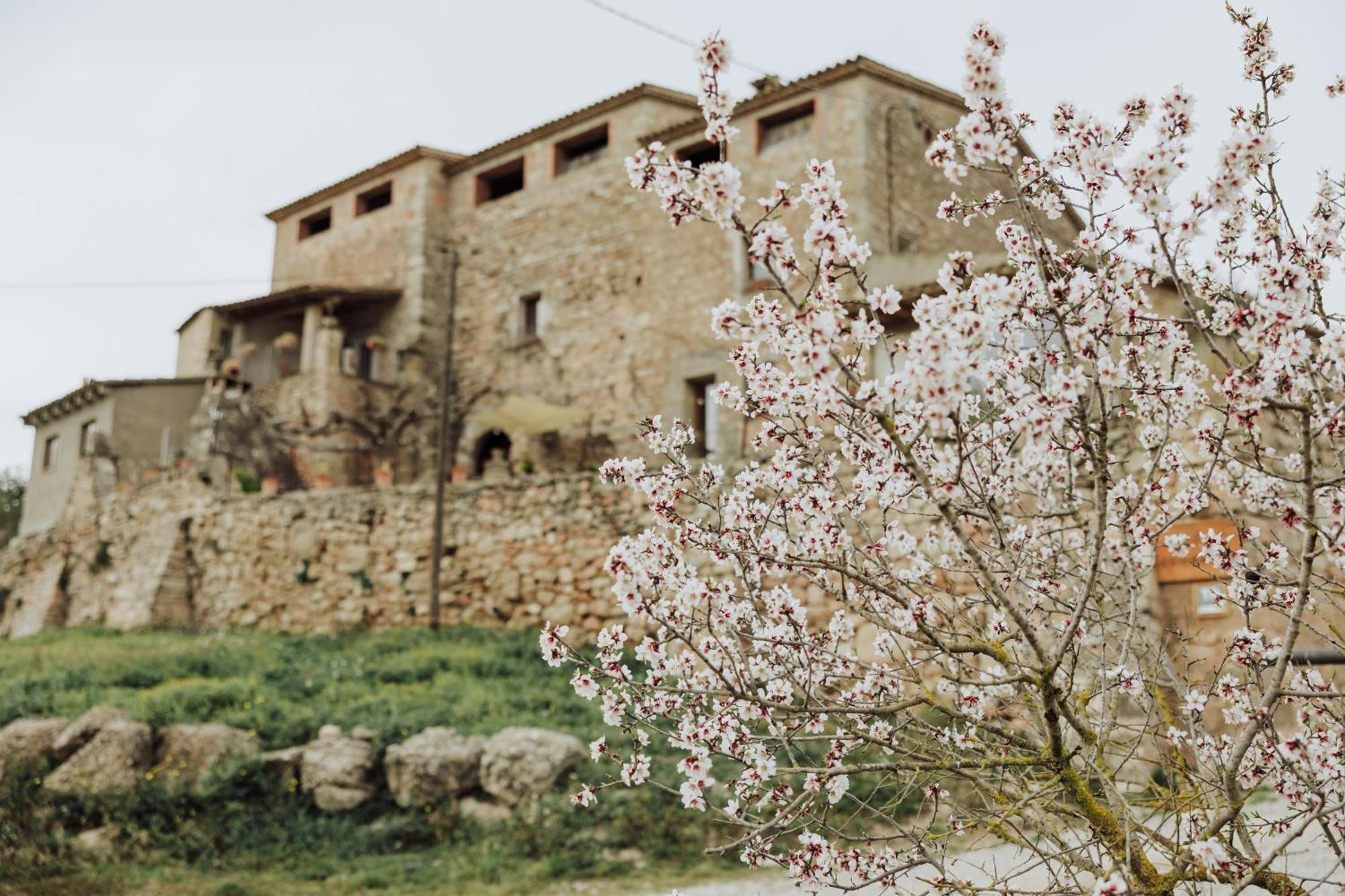 Masia Aubareda San Marti de Tous Bagian luar foto